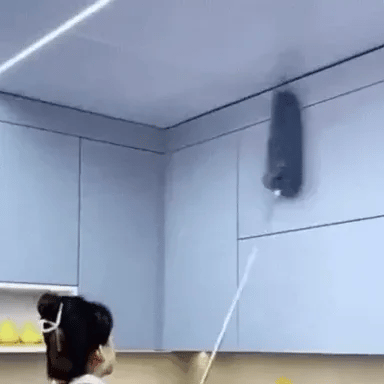 Flexible Fan & Ceiling Duster with Long Handle