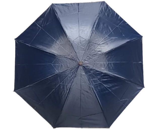 Portable Folding Umbrella For Men And Women