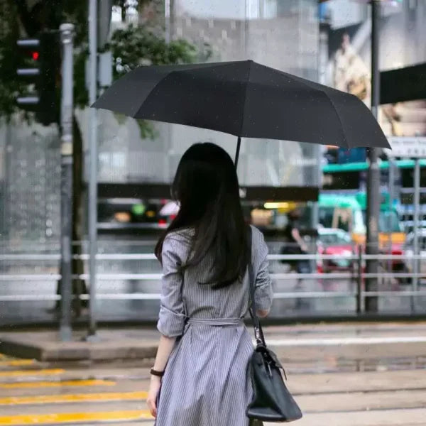 Portable Folding Umbrella For Men And Women